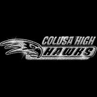 GLT102 SILVER GLITTER Thumbnail