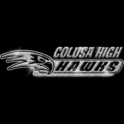 GLT102 SILVER GLITTER Thumbnail