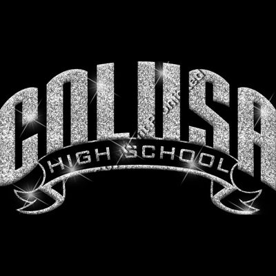 GLT37 SILVER GLITTER Thumbnail